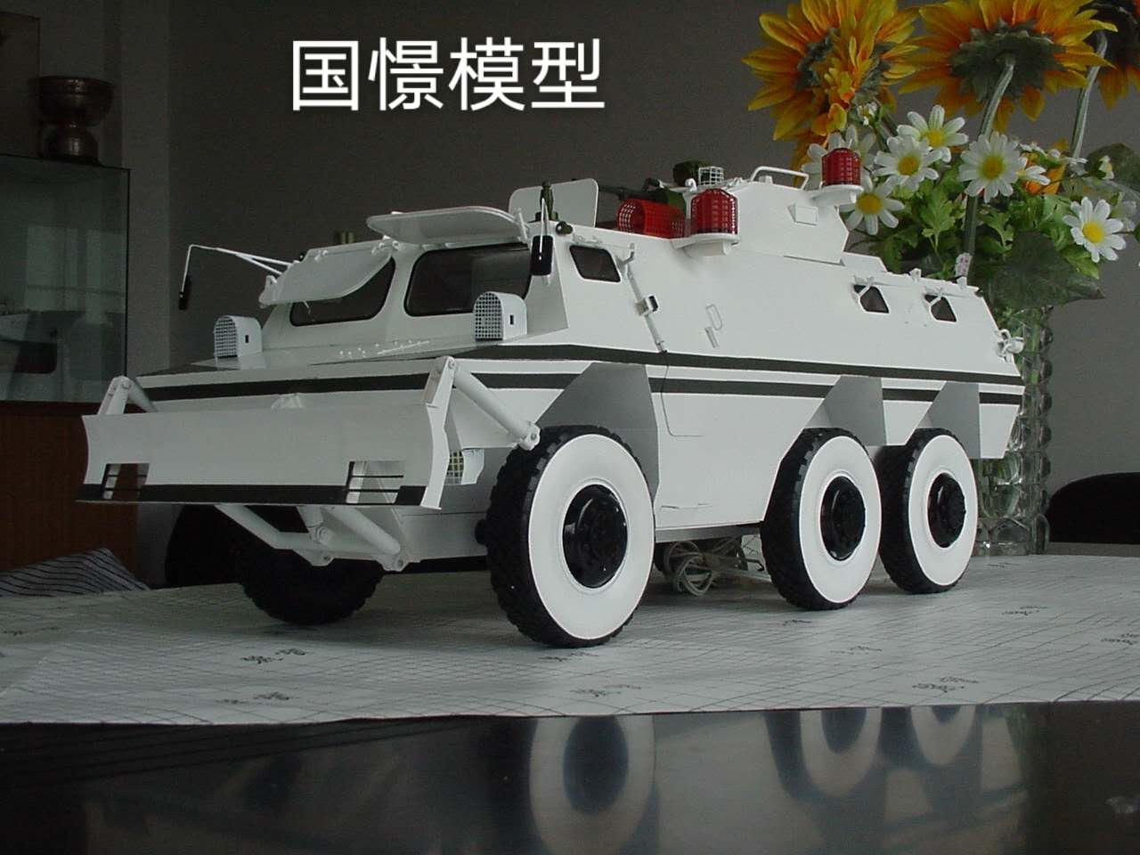 蒙山县军事模型